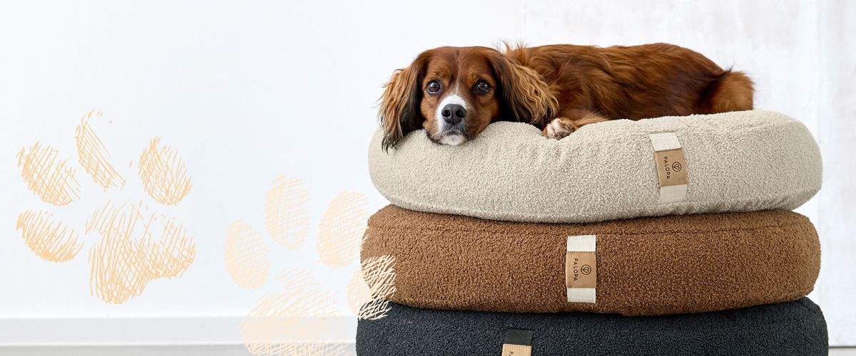 Hunde Zubehör, Hundeleine, Hundebett, Palopa, Zwei