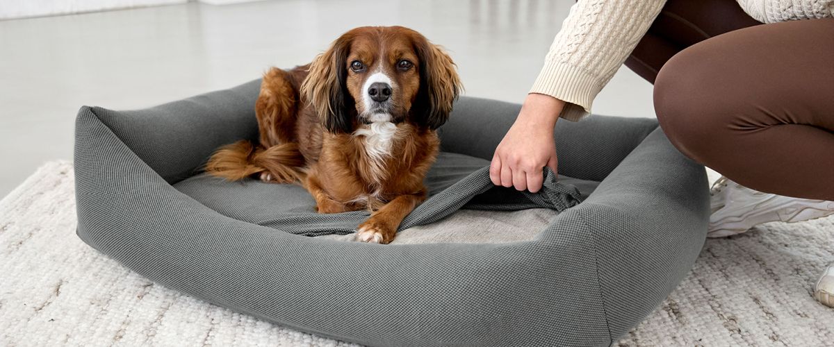 Hunde Zubehör, Hundebett, Palopa, Hundebett Bezug waschbar