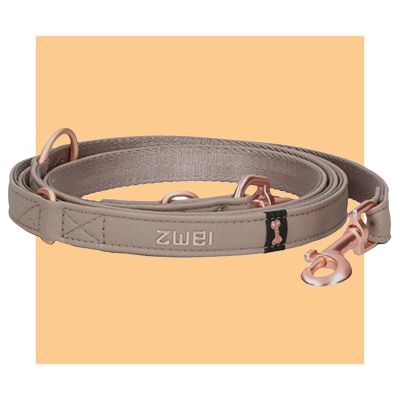 Hunde Zubehör, Hundeleine, Zwei