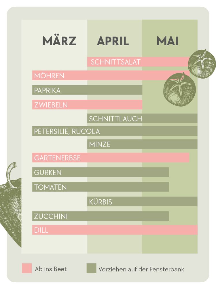 Gartentipps, Frühling, Garten, Aussaat Kalender