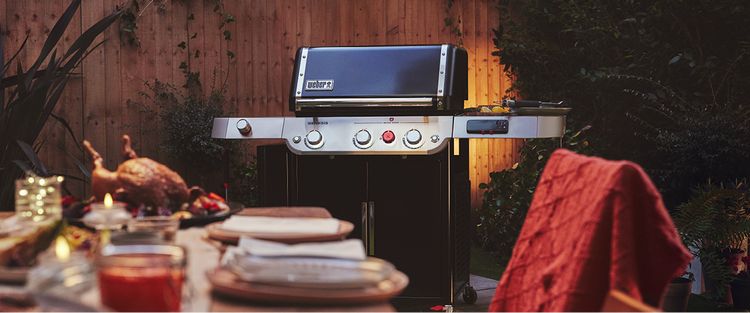 Gasgrill, Kohle Grill, Elektrogrill