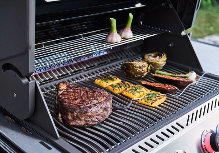 Napoleon Grill