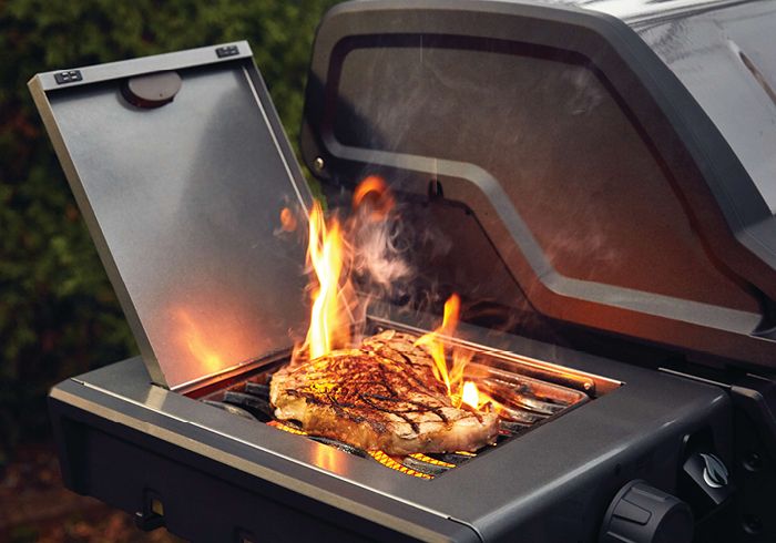 Napoleon Grill