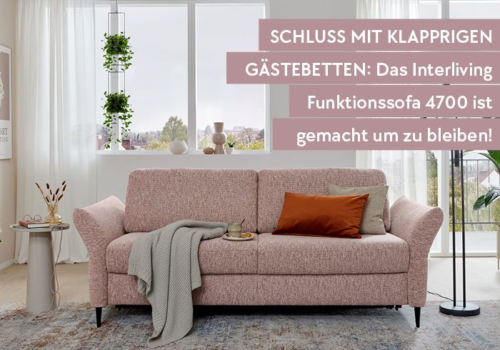 Gästezimmer, Schlafsofa, ausklappbares Sofa