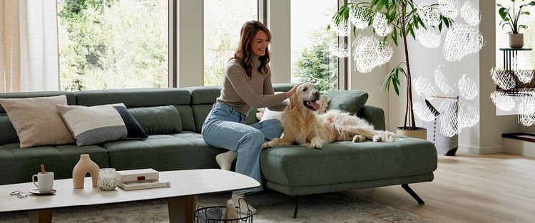 Hausfreundliche Sofastoffe, Pfotenstoffe, Sofas für Hunde, Sofas für Katzen