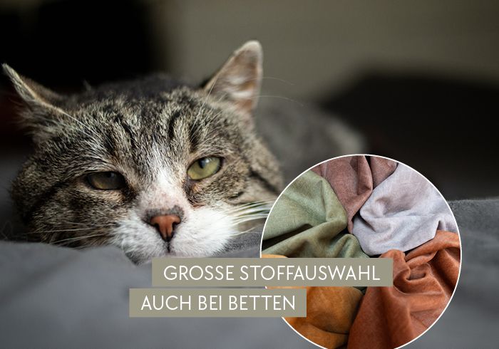 Hausfreundliche Sofastoffe, Pfotenstoffe, Sofas für Hunde, Sofas für Katzen