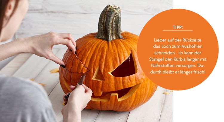 Halloween, Kürbis, Kürbis schnitzen, so bleibt er lange frisch