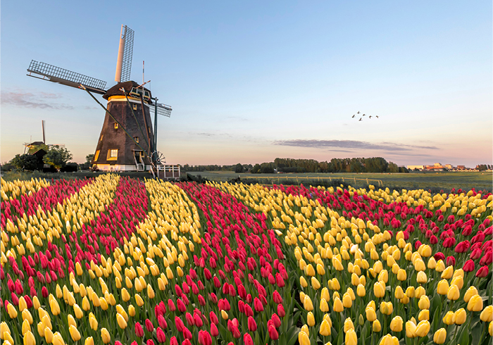 Reisebericht: Niederlande