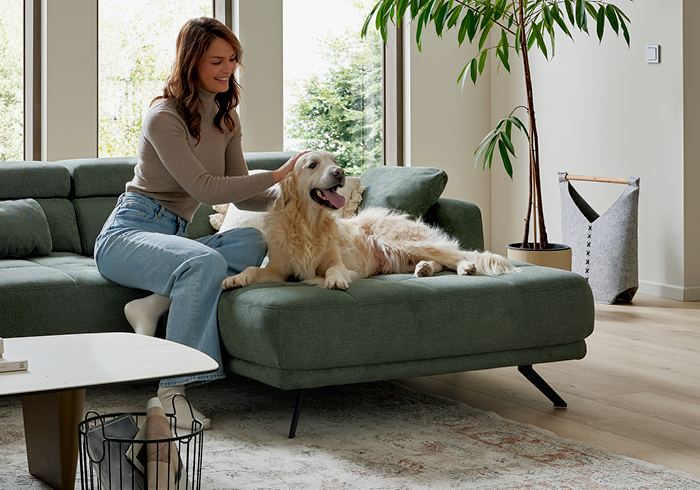 Haustierfreundliche Stoffe